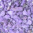 Грунт Фиолетовый 3-10 мм (вес 50г) - Грунт Фиолетовый 3-10 мм (вес 50г)