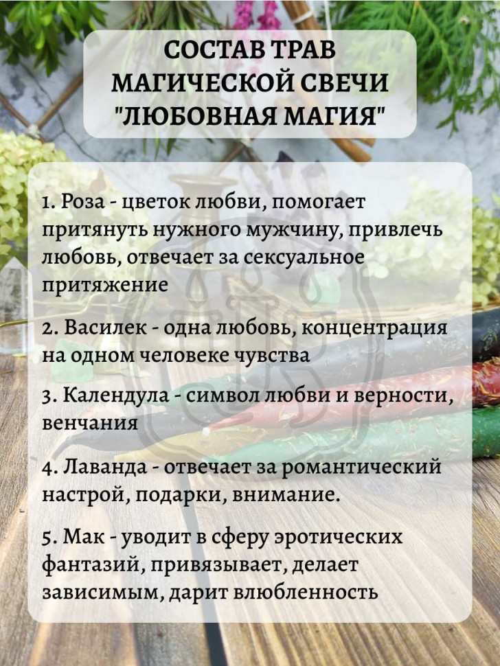 Секреты ведьм: какие магические свойства приписывали растениям в древности | Вокруг Света