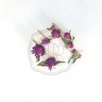  Гомфрена мелкая с листьями Цвет фиолетовая (сухоцвет)